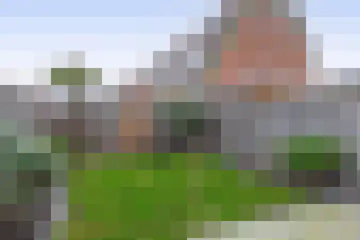 Pijlstaart 44 Hellevoetsluis thumbnail 23