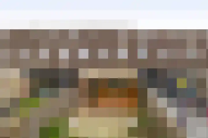 Pijlstaart 44 Hellevoetsluis thumbnail 25