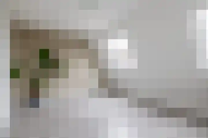 Pijlstaart 44 Hellevoetsluis thumbnail 27