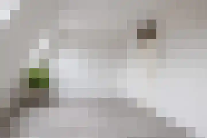 Pijlstaart 44 Hellevoetsluis thumbnail 28