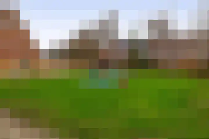 Pijlstaart 44 Hellevoetsluis thumbnail 38