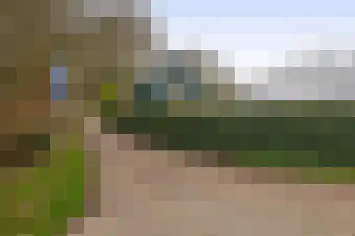 Pijlstaart 44 Hellevoetsluis thumbnail 39