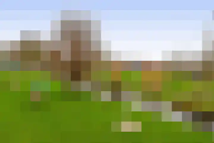 Pijlstaart 44 Hellevoetsluis thumbnail 40