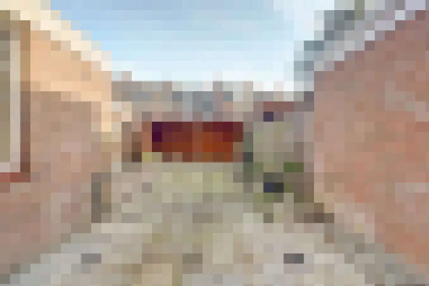 Pijlstaart 7 Oud-Beijerland thumbnail 36