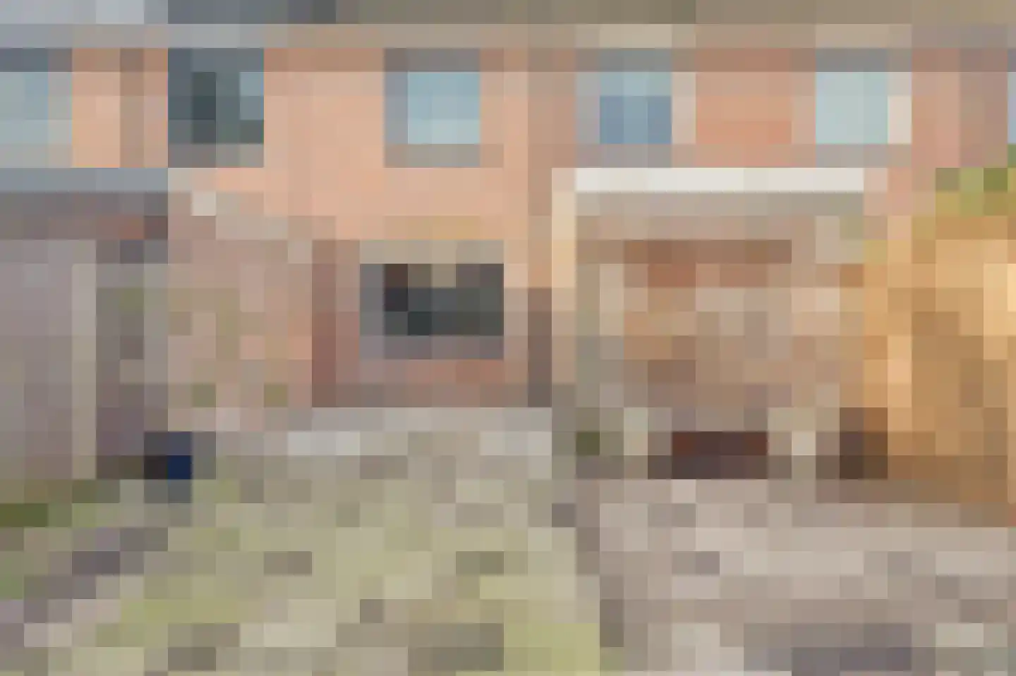 Pijlstaart 7 Oud-Beijerland thumbnail 39
