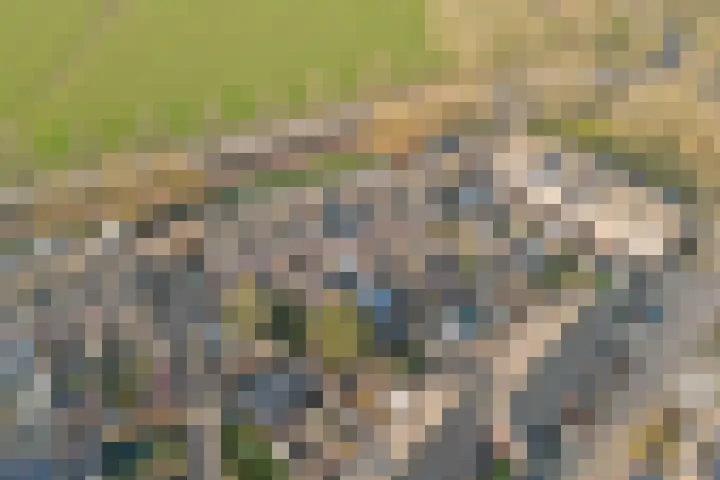 Pijlstaart 7 Oud-Beijerland thumbnail 41