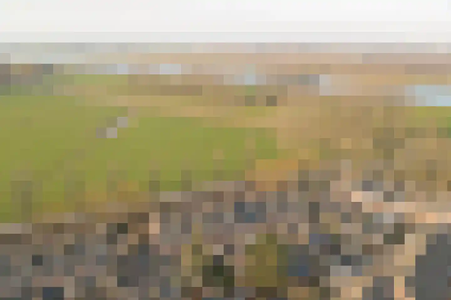 Pijlstaart 7 Oud-Beijerland thumbnail 42