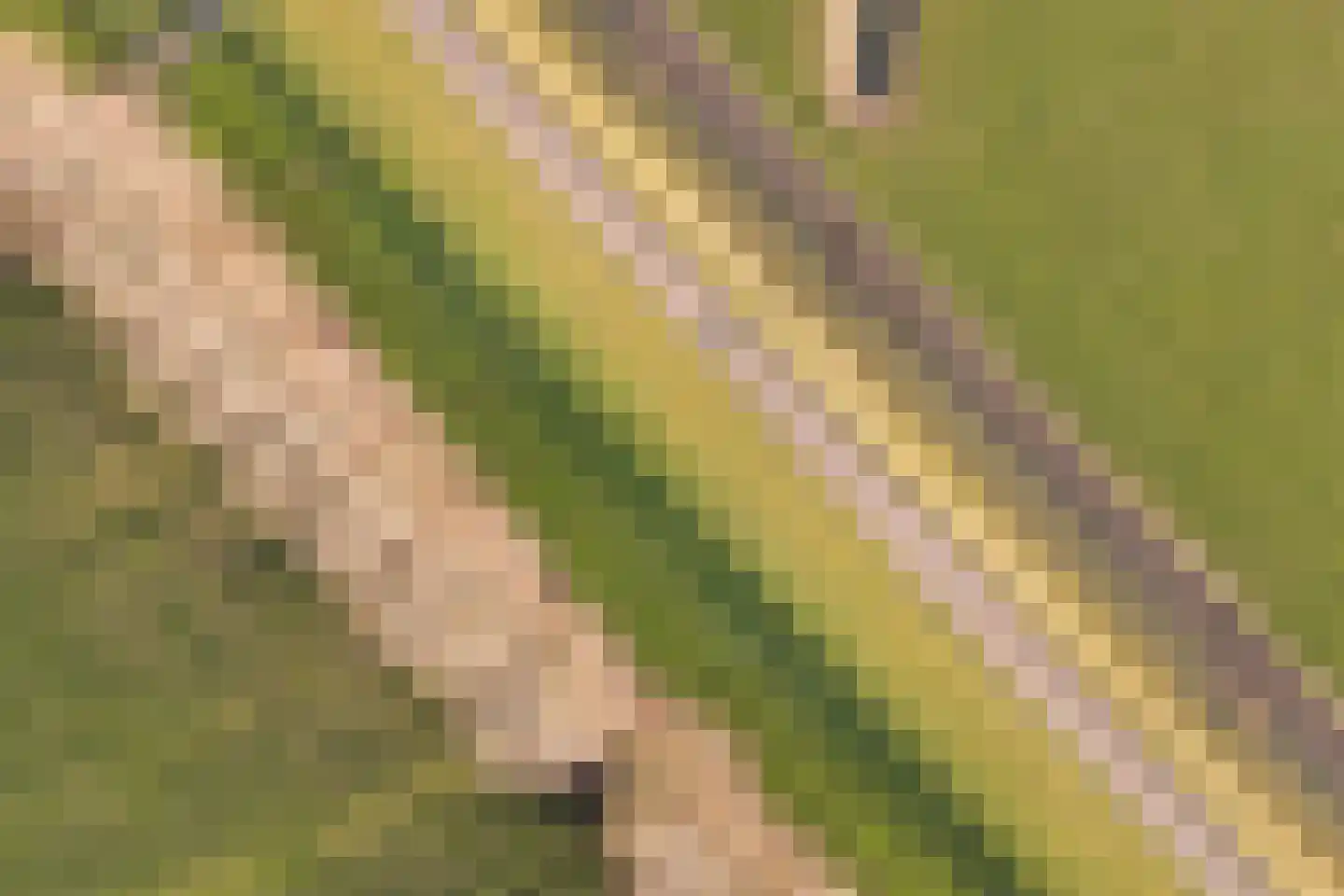 Pijlstaart 7 Oud-Beijerland thumbnail 43