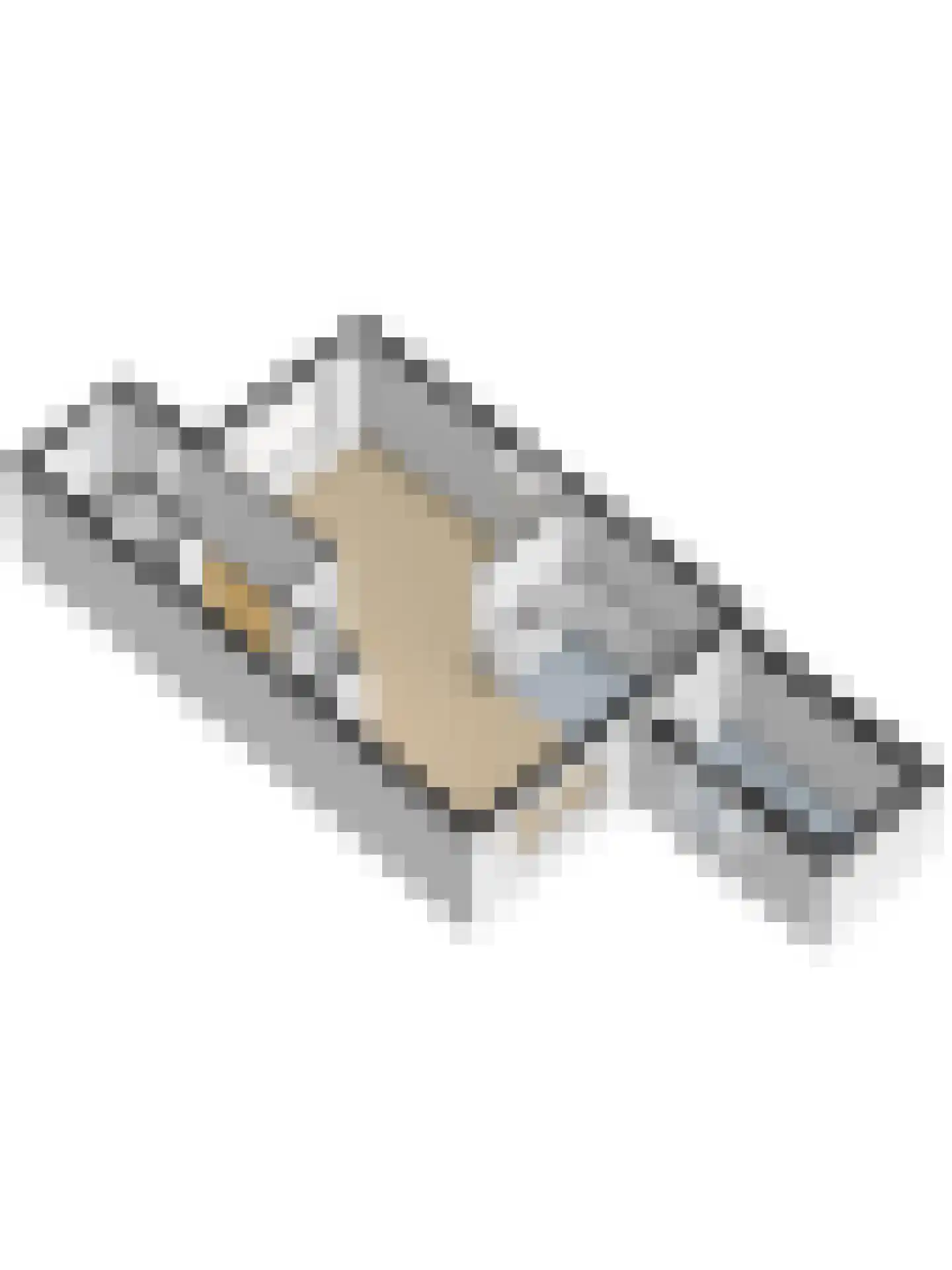 Pijlstaart 7 Oud-Beijerland thumbnail 50