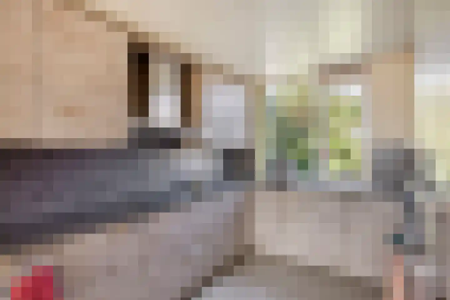 Pijlstaart 77 Hellevoetsluis thumbnail 13