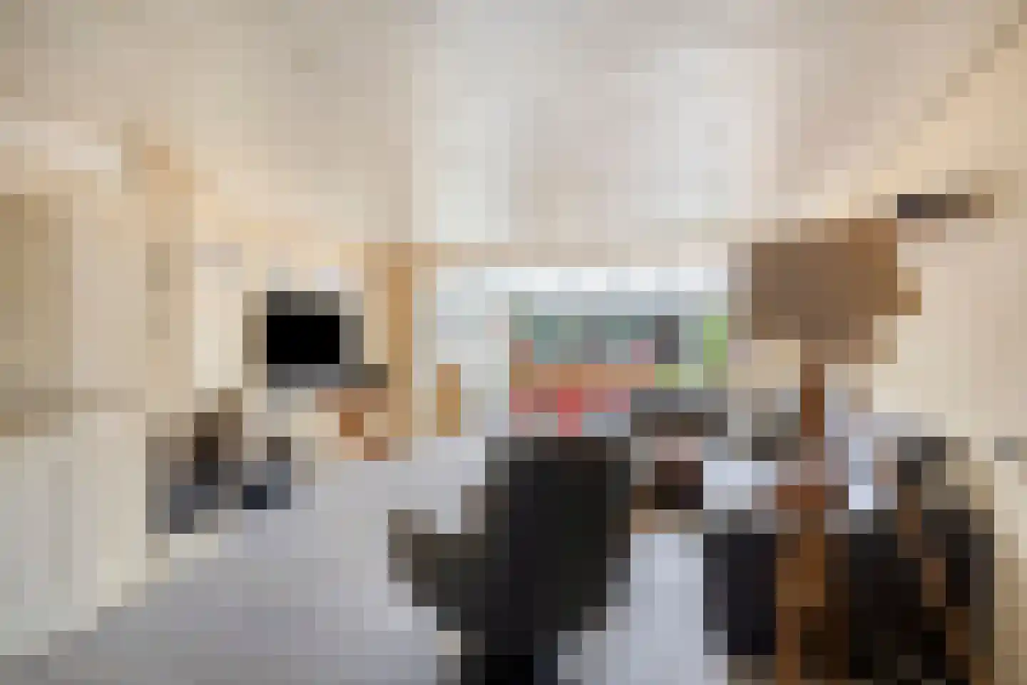 Pijlstaart 77 Hellevoetsluis thumbnail 9