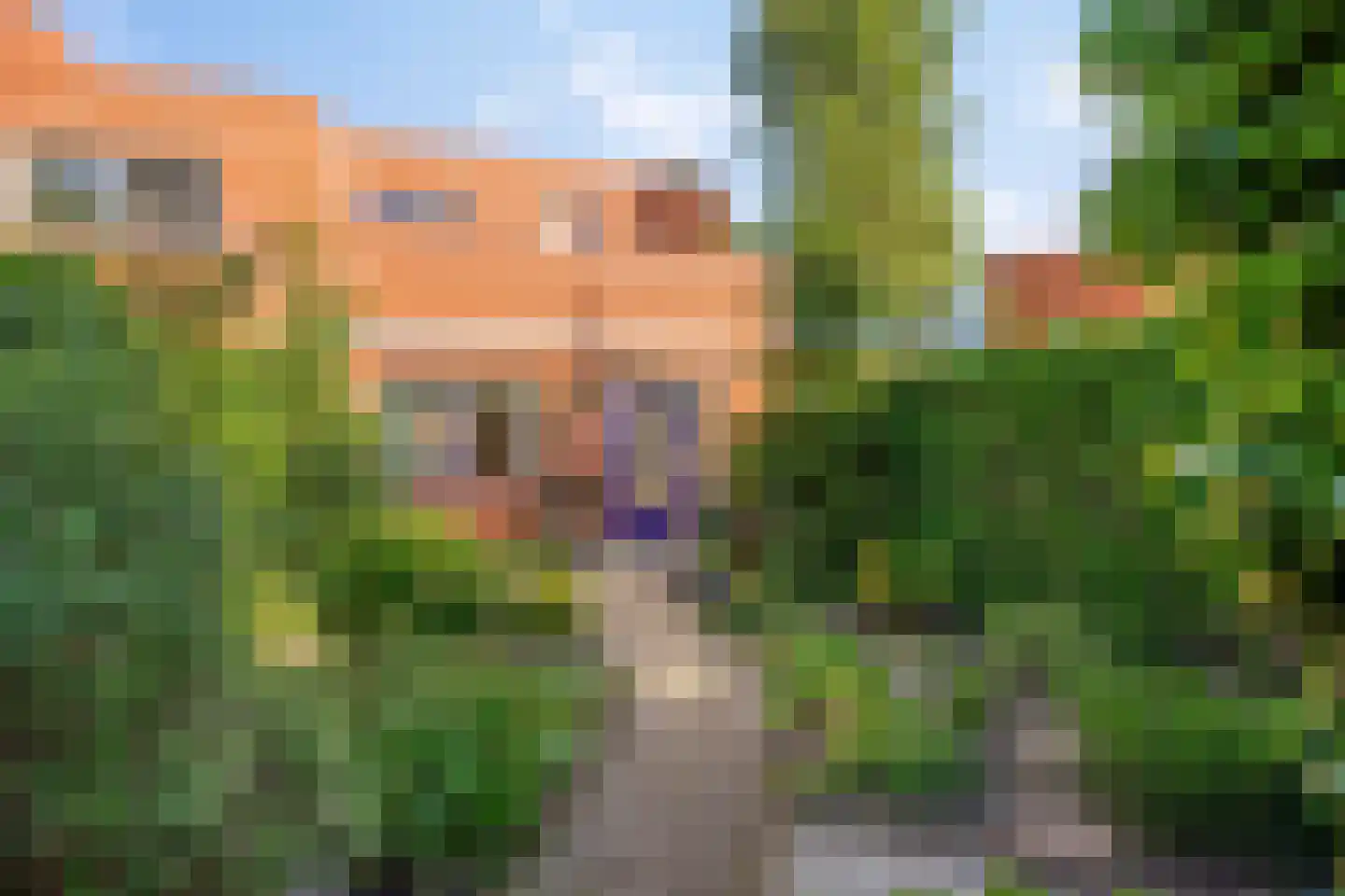 Pijlstaart 9 Bergen op Zoom thumbnail 18