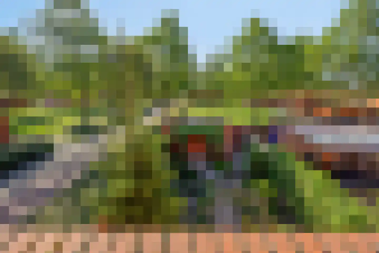 Pijlstaart 9 Bergen op Zoom thumbnail 19