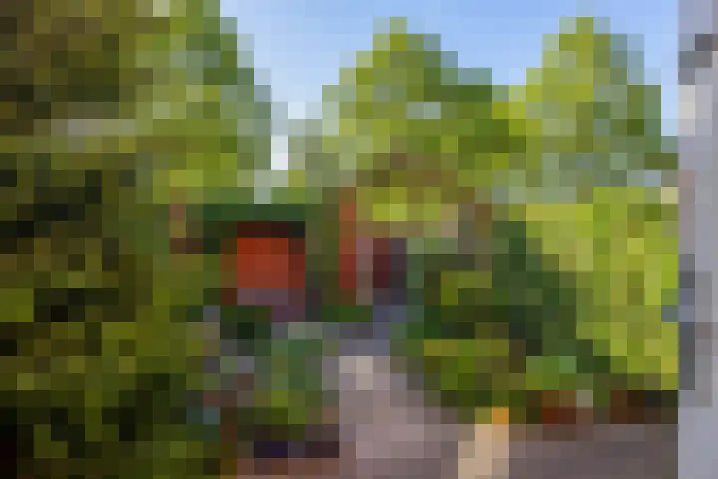 Pijlstaart 9 Bergen op Zoom thumbnail 20