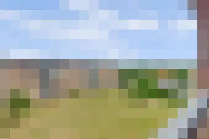 Pijlstaarthof 20 Nijmegen thumbnail 17