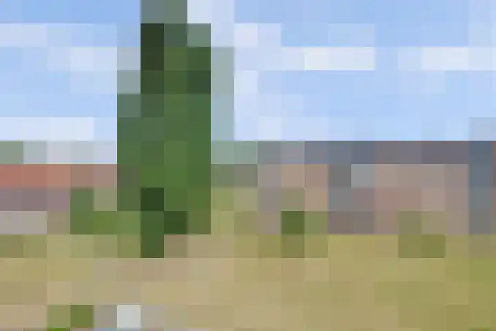 Pijlstaarthof 20 Nijmegen thumbnail 18