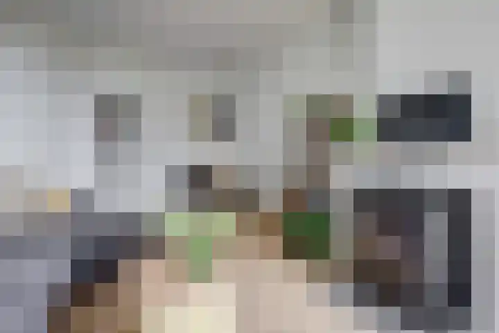 Pijlstaarthof 20 Nijmegen thumbnail 5