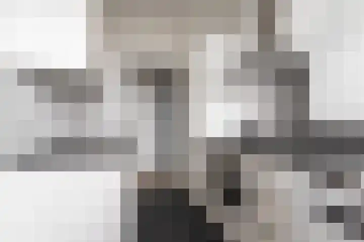 Pijlstaarthof 4 Nijmegen thumbnail 19