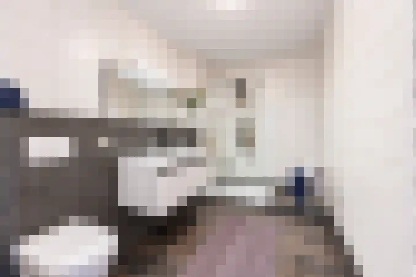 Pijlstaartlaan 49 Vinkeveen thumbnail 17
