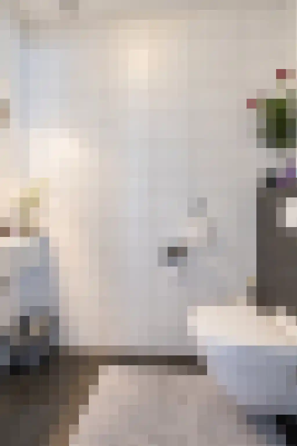 Pijlstaartlaan 49 Vinkeveen thumbnail 18