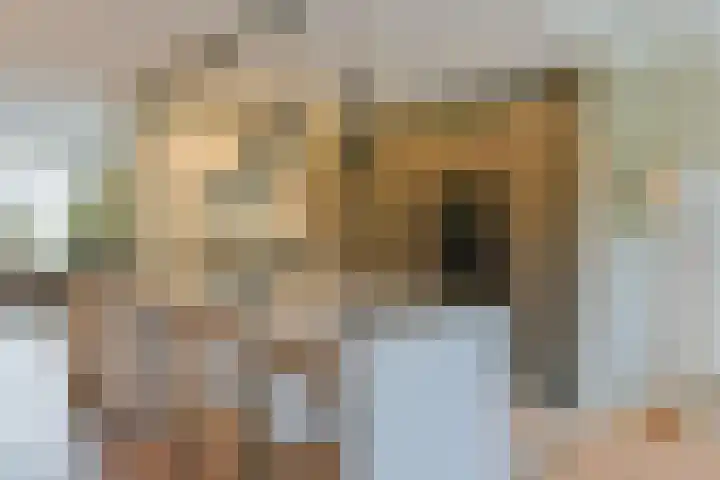 Pijlstaartlaan 82 Vinkeveen thumbnail 10
