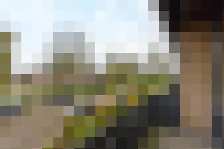 Pijlstaartlaan 82 Vinkeveen thumbnail 29