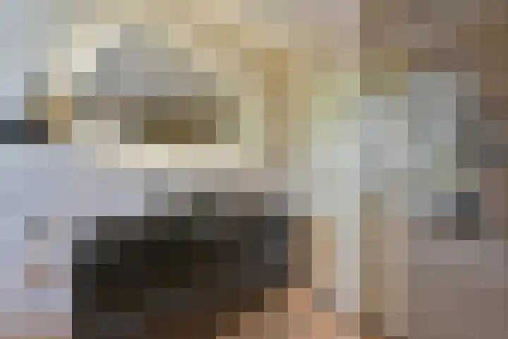 Pijlstaartlaan 82 Vinkeveen thumbnail 32