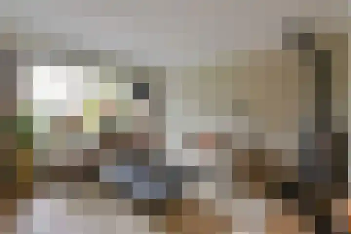 Pijlstaartlaan 82 Vinkeveen thumbnail 4
