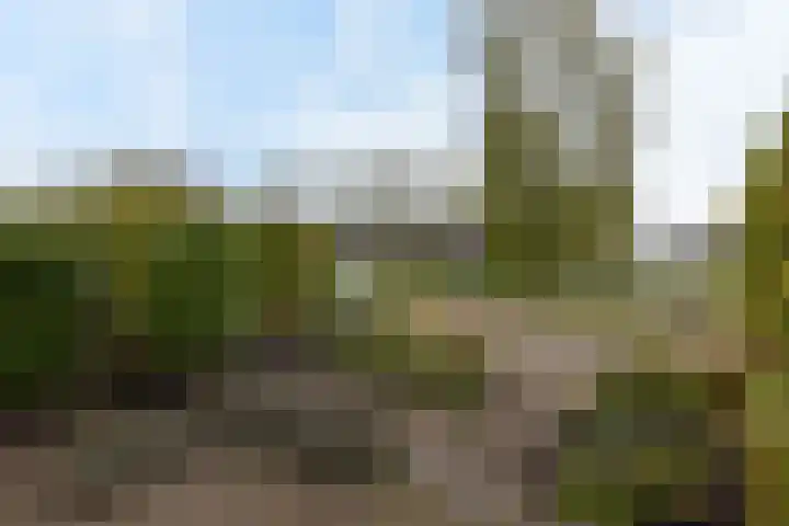 Pijlstaartlaan 82 Vinkeveen thumbnail 40