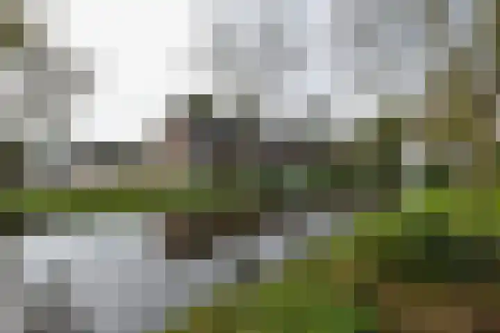 Pijlstaartlaan 82 Vinkeveen thumbnail 41