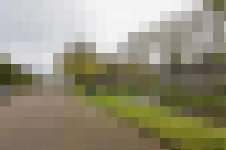 Pijlstaartlaan 82 Vinkeveen thumbnail 42