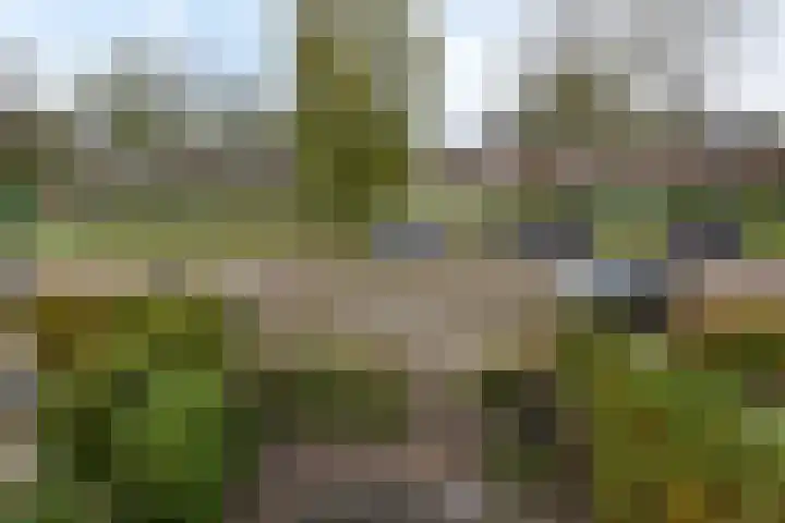 Pijlstaartlaan 82 Vinkeveen thumbnail 44
