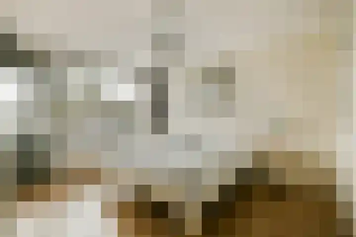 Pijlstaartlaan 84 Vinkeveen thumbnail 15