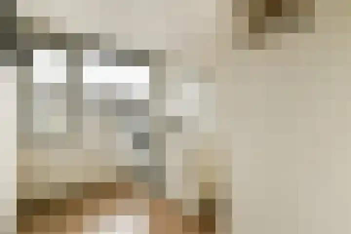 Pijlstaartlaan 84 Vinkeveen thumbnail 21