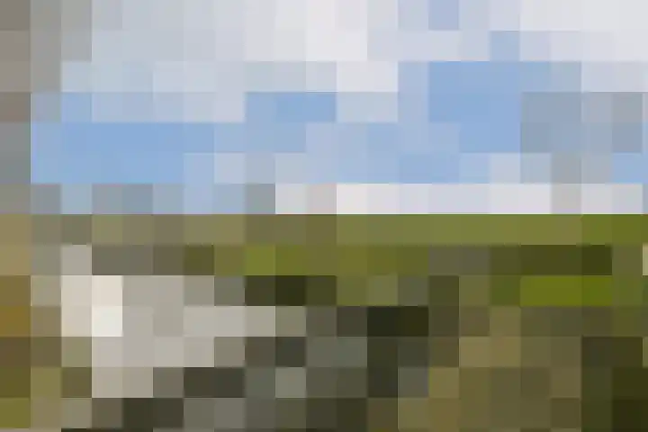 Pijlstaartlaan 84 Vinkeveen thumbnail 25