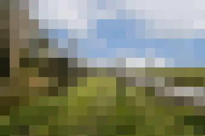 Pijlstaartlaan 84 Vinkeveen thumbnail 26