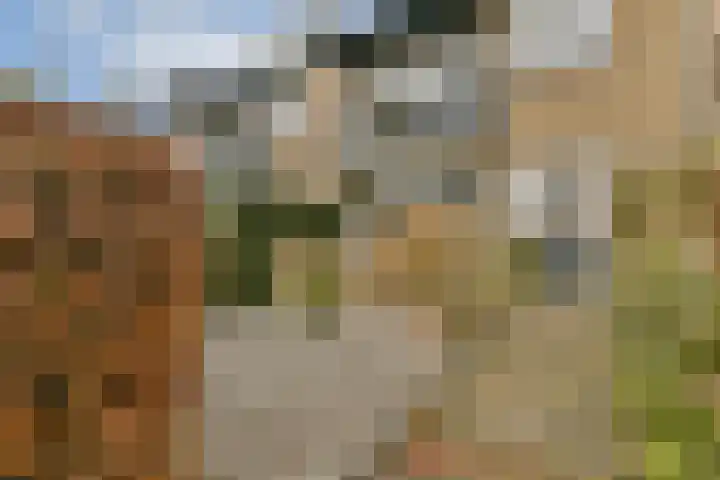 Pijlstaartlaan 84 Vinkeveen thumbnail 4