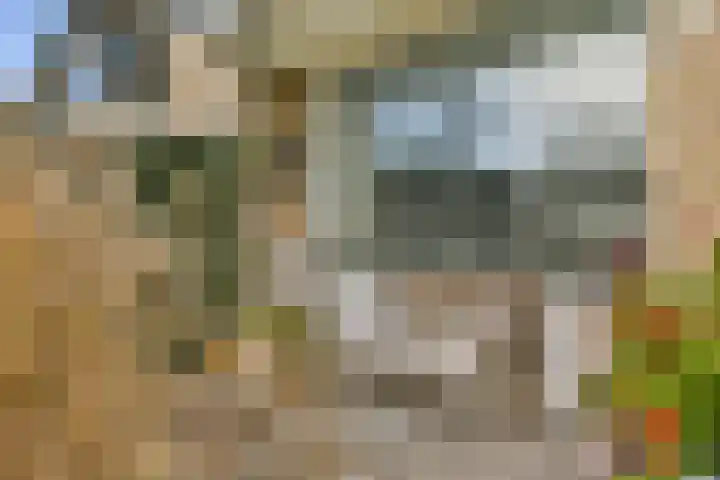 Pijlstaartlaan 84 Vinkeveen thumbnail 5