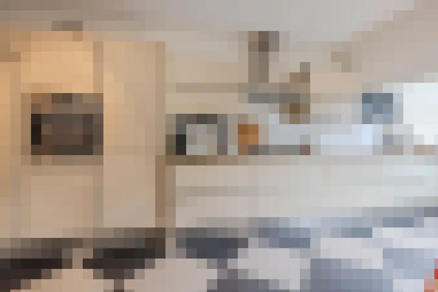 Pijlstaartpad 11 Voorschoten thumbnail 10
