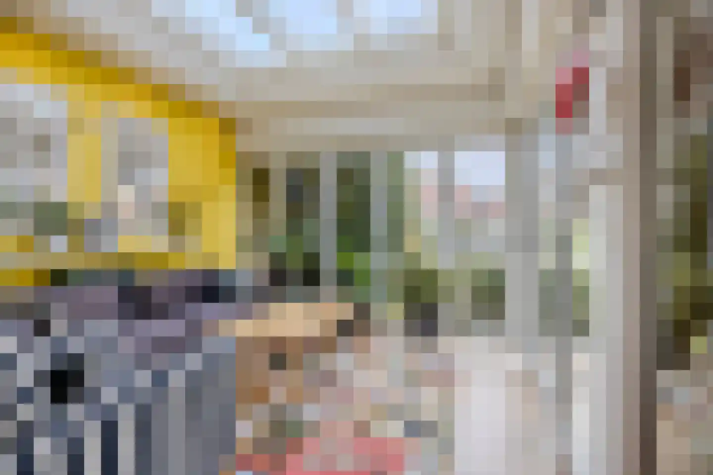 Pijlstaartpad 11 Voorschoten thumbnail 11
