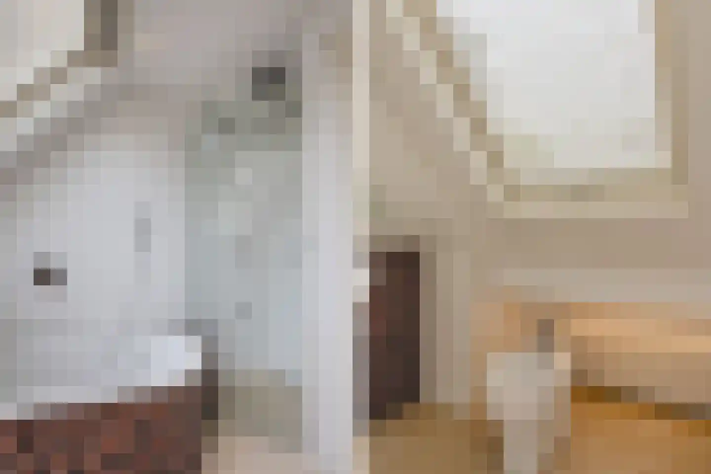 Pijlstaartpad 11 Voorschoten thumbnail 26