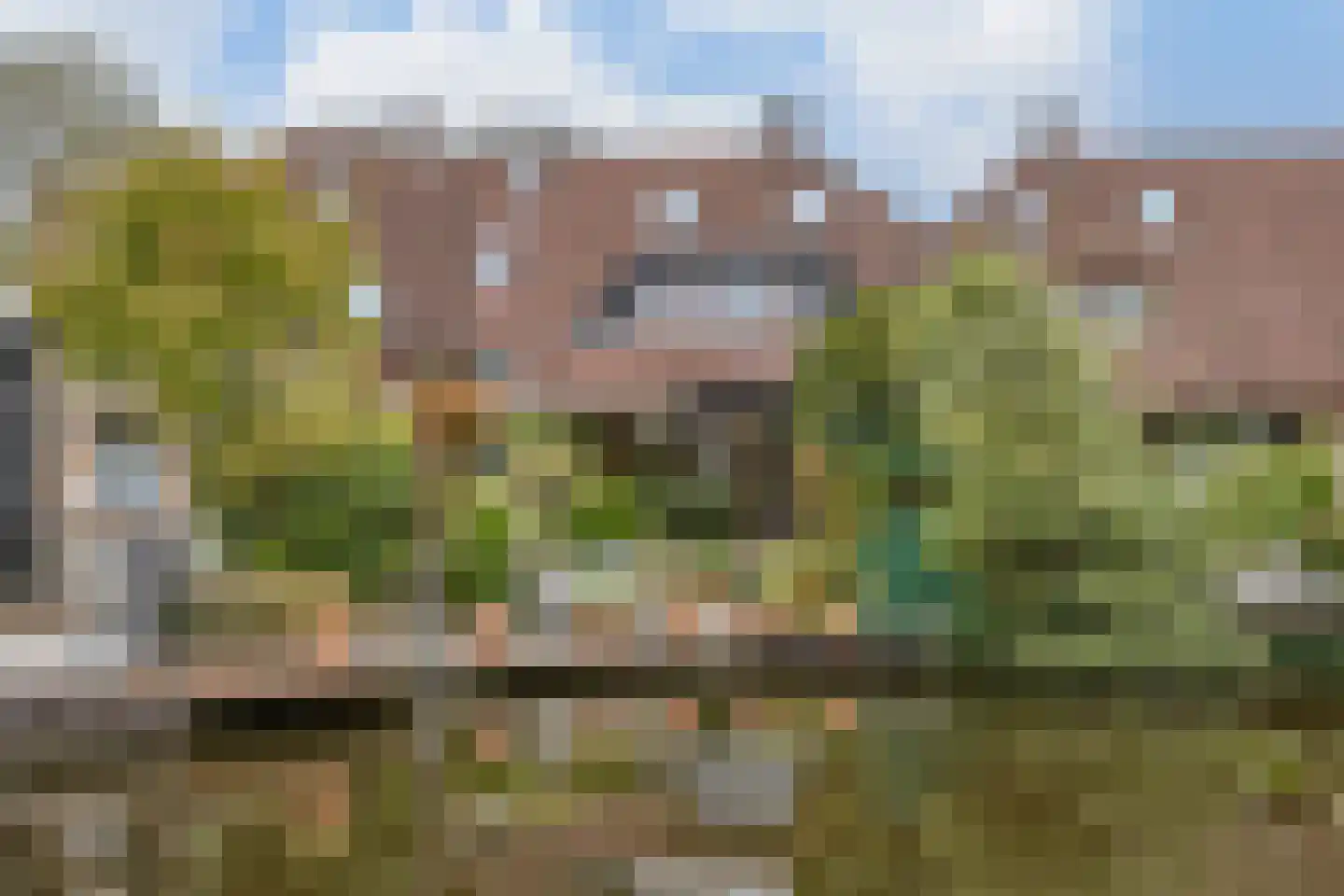 Pijlstaartpad 11 Voorschoten foto 3