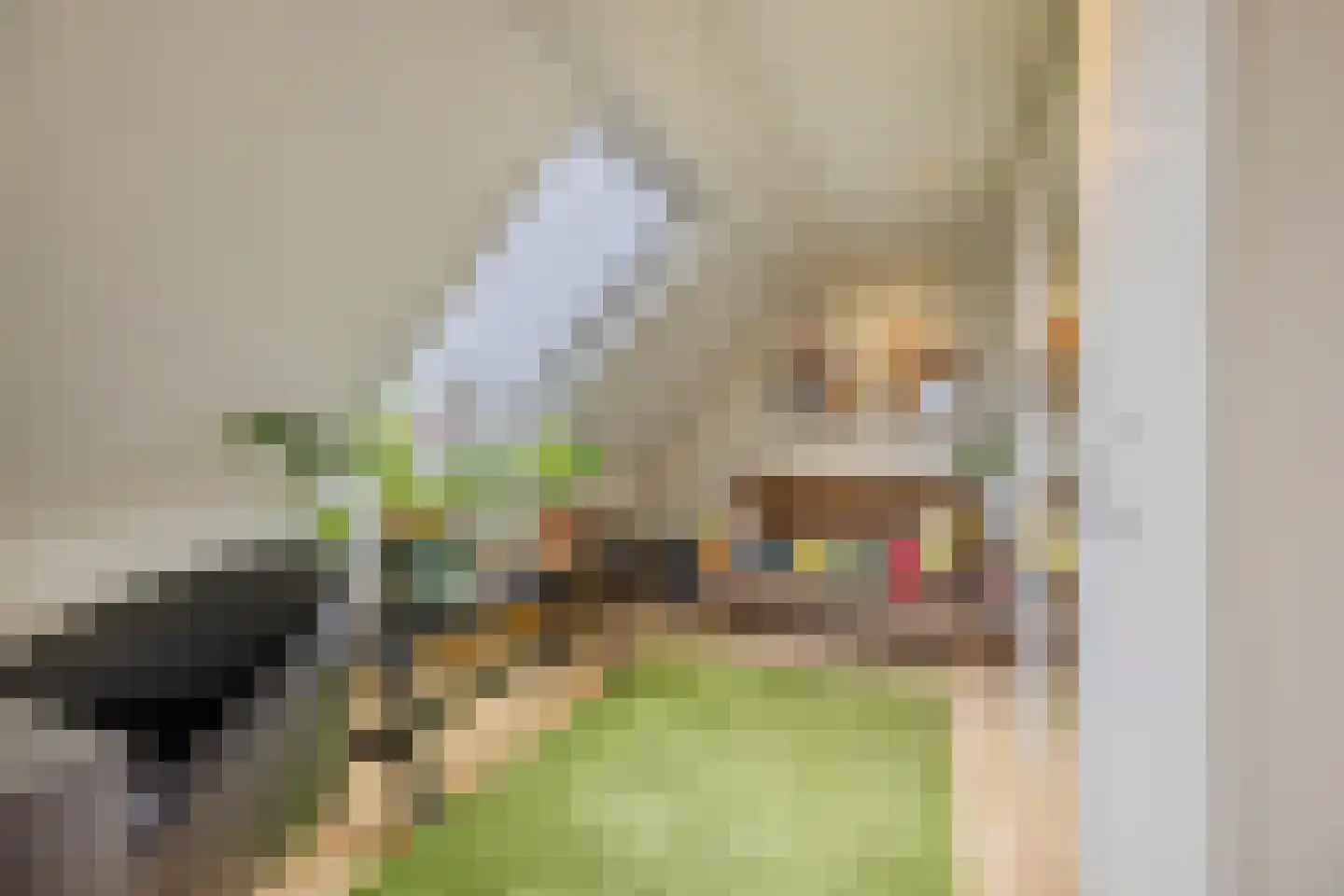 Pijlstaartpad 11 Voorschoten thumbnail 33