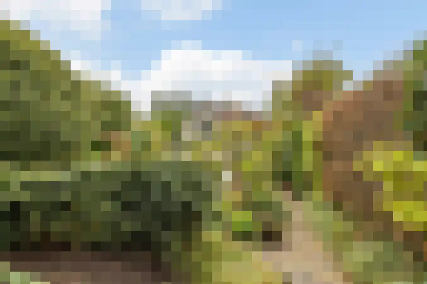 Pijlstaartpad 11 Voorschoten thumbnail 34
