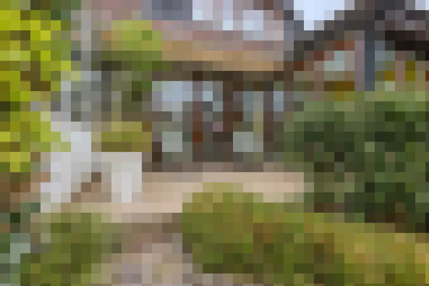 Pijlstaartpad 11 Voorschoten thumbnail 35