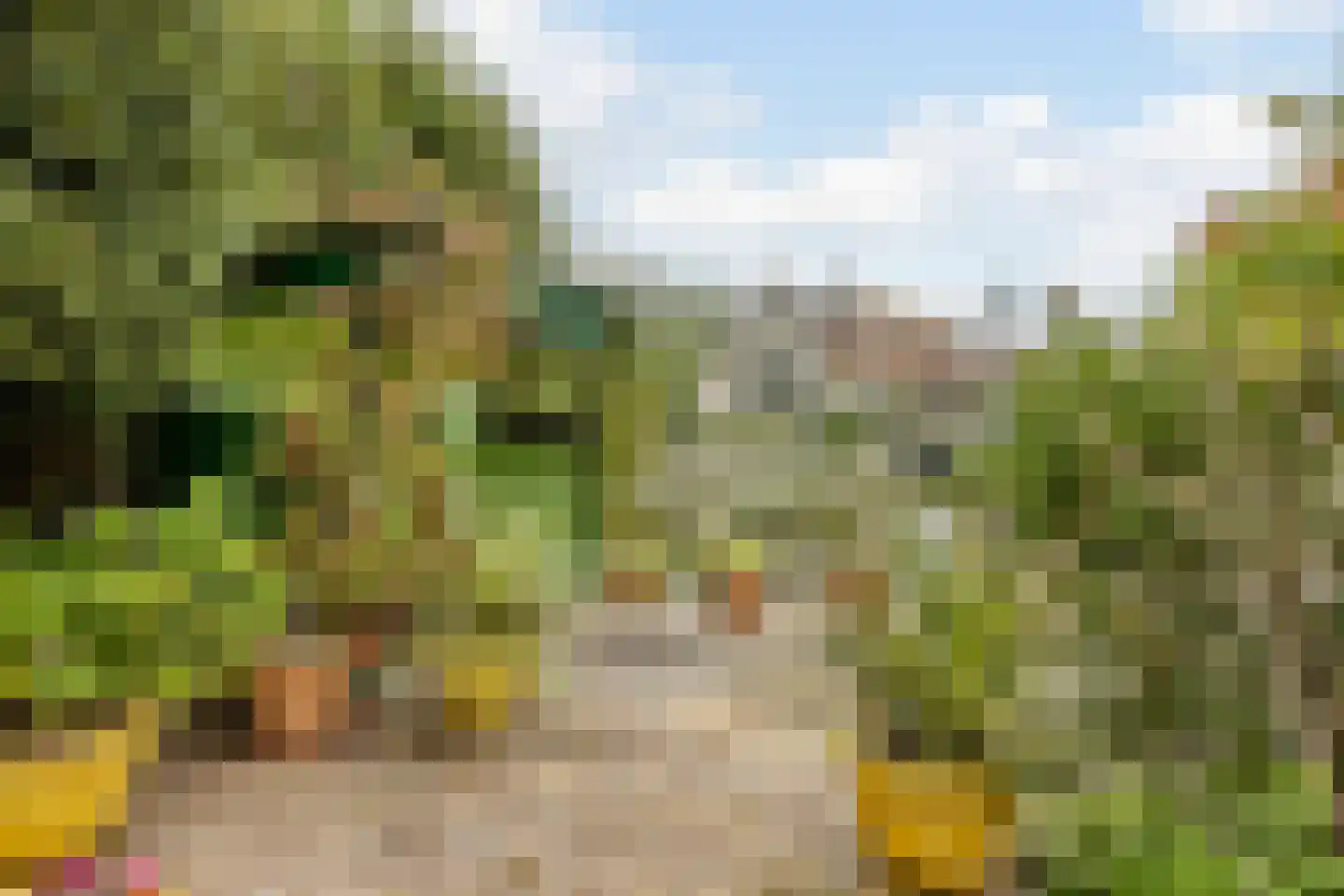 Pijlstaartpad 11 Voorschoten thumbnail 36