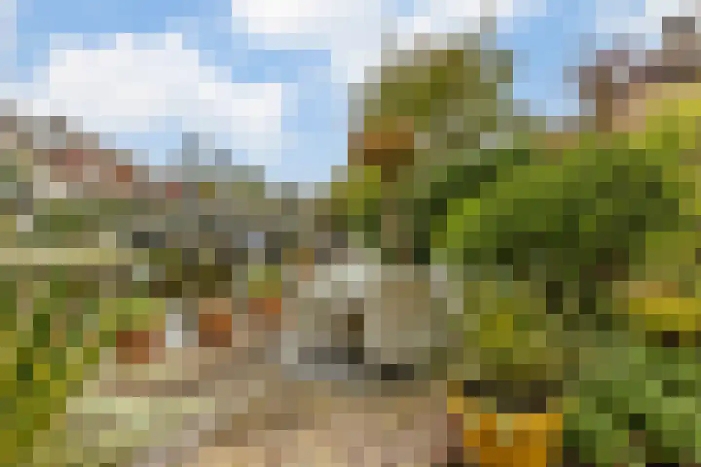 Pijlstaartpad 11 Voorschoten thumbnail 37