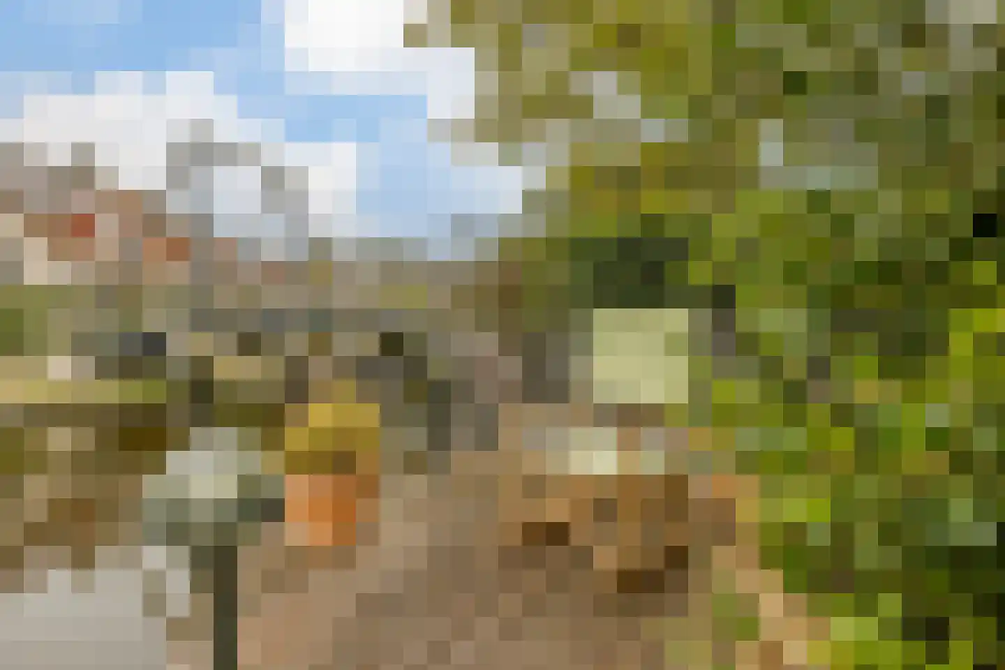 Pijlstaartpad 11 Voorschoten thumbnail 39