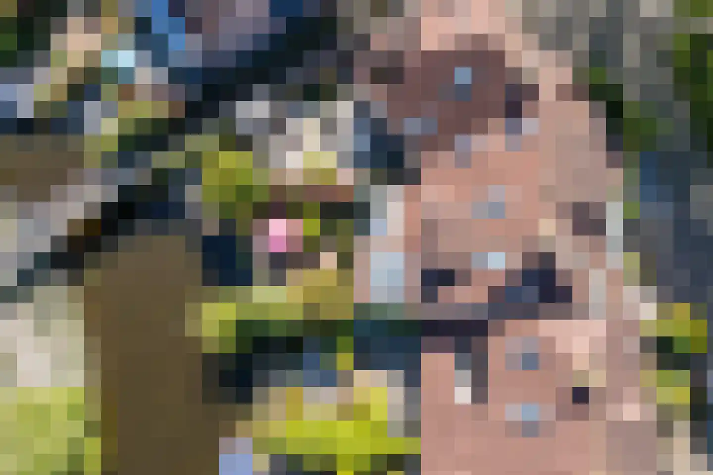 Pijlstaartpad 11 Voorschoten thumbnail 4