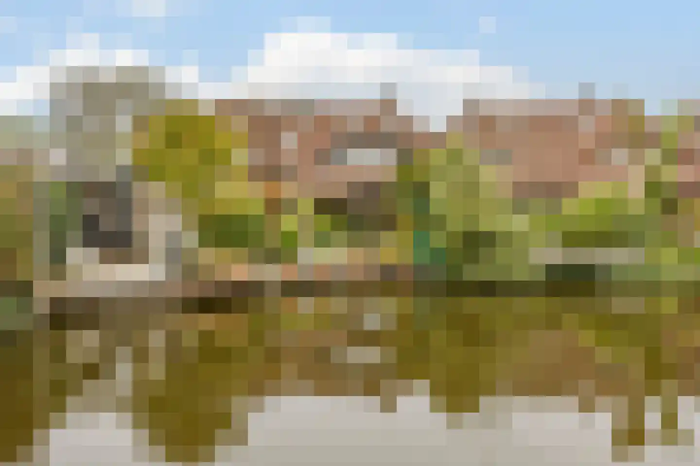 Pijlstaartpad 11 Voorschoten thumbnail 40